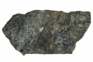 Lunar Meteorite ( g) Slice - Laayoune #291649