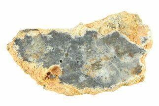 Lunar Meteorite ( g) Slice - Bechar #291699