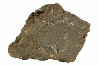 Gebel Kamil Iron Meteorite ( g) - Egypt #291789