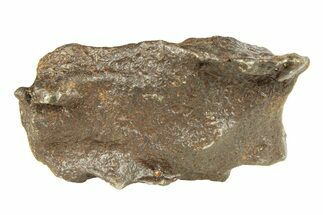 Gebel Kamil Iron Meteorite Fragment ( g) - Egypt #291814