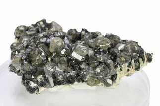 Cerussite Crystals on Galena - Morocco #291039