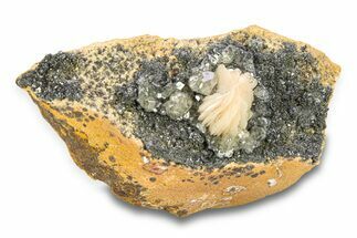 Cerussite Crystals with Bladed Barite on Galena - Morocco #291048