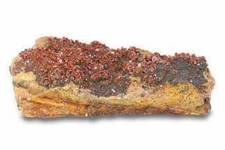 Top-Quality, Deep Red Vanadinite Crystals on Hematite - Morocco #291082