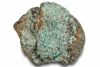 Tumbled Turquoise Section - Number Mine, Carlin, NV #292277