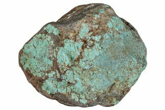 Tumbled Turquoise Section - Number Mine, Carlin, NV #292281