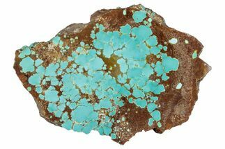 Polished Turquoise Slab - Number Mine, Carlin, NV #292313