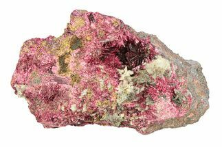 Fibrous, Magenta Erythrite Cluster - Morocco #291159