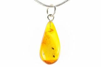 Polished Baltic Amber Pendant (Necklace) - Aphid Nymph & Fly! #288862