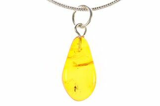 Polished Baltic Amber Pendant (Necklace) - Contains Fly! #288871