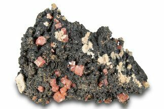 Small Red Vanadinite Crystals on Goethite - Morocco #292900