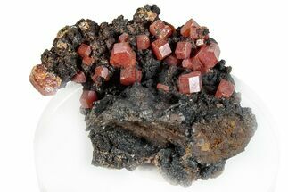 Small Red Vanadinite Crystals on Goethite - Morocco #292912