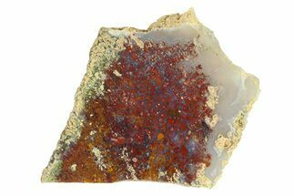 Polished Colorful Plume Agate Slab - Java, Indonesia #293375