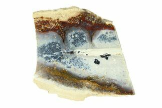 Polished Colorful Agate with Native Copper - Java, Indonesia #293387