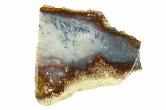 Polished Colorful Agate Section - Java, Indonesia #293388