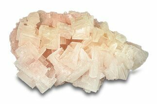 Pink Halite Crystal Cluster - Trona, California #293246