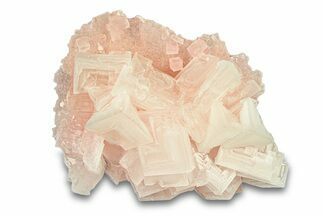 Pink Halite Crystal Cluster - Trona, California #293237