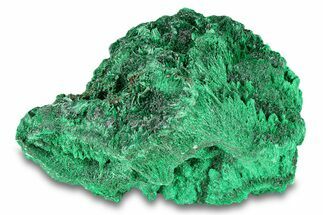 Silky Fibrous Malachite Cluster - DR Congo #294643