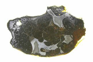 Brenham Pallasite Meteorite ( g) Slice - Kansas #294799