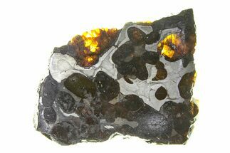 Brenham Pallasite Meteorite ( g) Slice - Kansas #294805