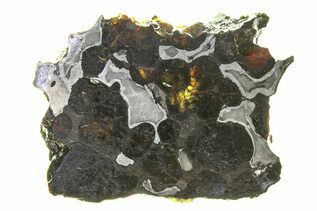 Brenham Pallasites For Sale