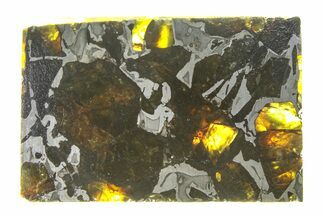 Polished Admire Pallasite Meteorite ( g) Slice - Kansas #294846
