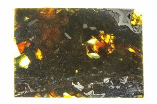 Polished Admire Pallasite Meteorite ( g) Slice - Kansas #294850