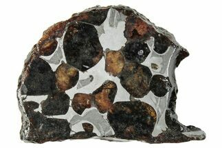 Polished Sericho Pallasite Meteorite ( g) Slice - Kenya #294856