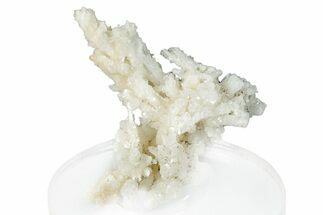 Intricate, Fluorescent Aragonite Formation - Nevada #295262