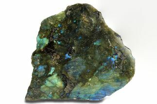 Single Side Polished Labradorite Section - Madagascar #295476