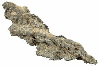 Fulgurite - Petrified Lightning #295489