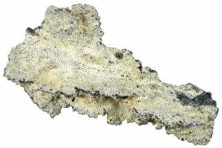 Fulgurite - Petrified Lightning #295499