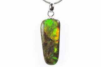 Brilliant Ammolite Pendant (Necklace) - Alberta, Canada #296042