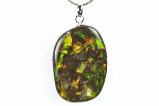 Brilliant Ammolite Pendant (Necklace) - Alberta, Canada #296043