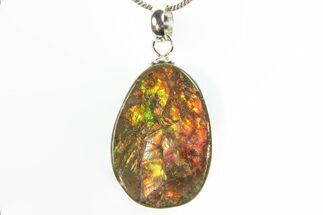 Brilliant Ammolite Pendant (Necklace) - Alberta, Canada #296055