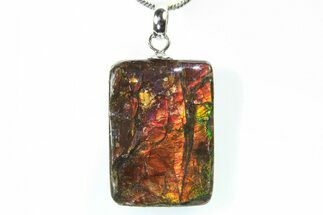 Brilliant Ammolite Pendant (Necklace) - Alberta, Canada #296060