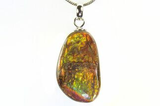 Brilliant Ammolite Pendant (Necklace) - Alberta, Canada #296077