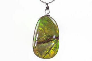 Brilliant Ammolite Pendant (Necklace) - Alberta, Canada #296101
