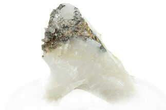 Native Gold Formation in Quartz - Morocco #296651