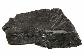Lustrous, High Grade Shungite - Colombia #297127