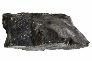 Lustrous, High Grade Shungite - Colombia #297146