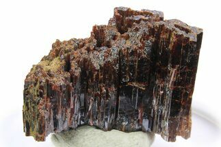 Lustrous, Red-Brown Rutile Crystals - Québec, Canada #297109
