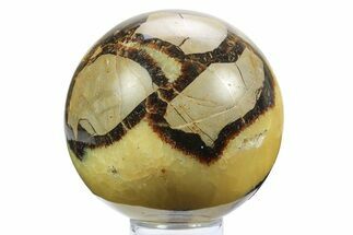 Polished Septarian Sphere - Madagascar #289945