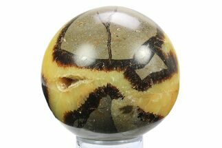 Polished Septarian Sphere - Madagascar #289951