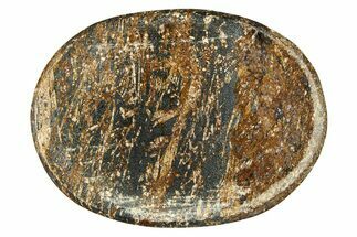 Polished Bronzite Worry Stones #297673