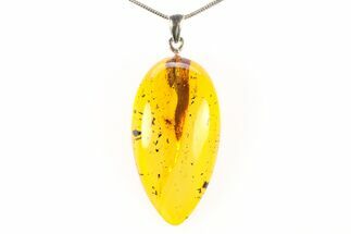 Polished Baltic Amber Pendant (Necklace) - Contains Fly! #297680