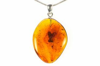 Polished Baltic Amber Pendant (Necklace) - Contains Fly! #297684