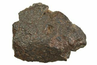 Chondrite Meteorite ( g) - Western Sahara Desert #296229