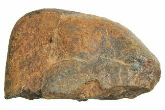 Chondrite Meteorite ( g) - Western Sahara Desert #296242