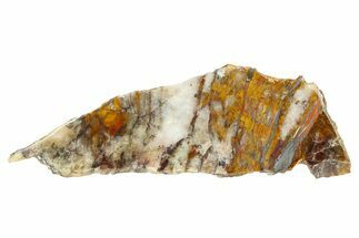 Lustrous Binghamite Agate Slab - Minnesota #299263