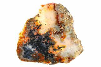 Polished Trent Agate With Stibnite & Realgar - Oregon #299264